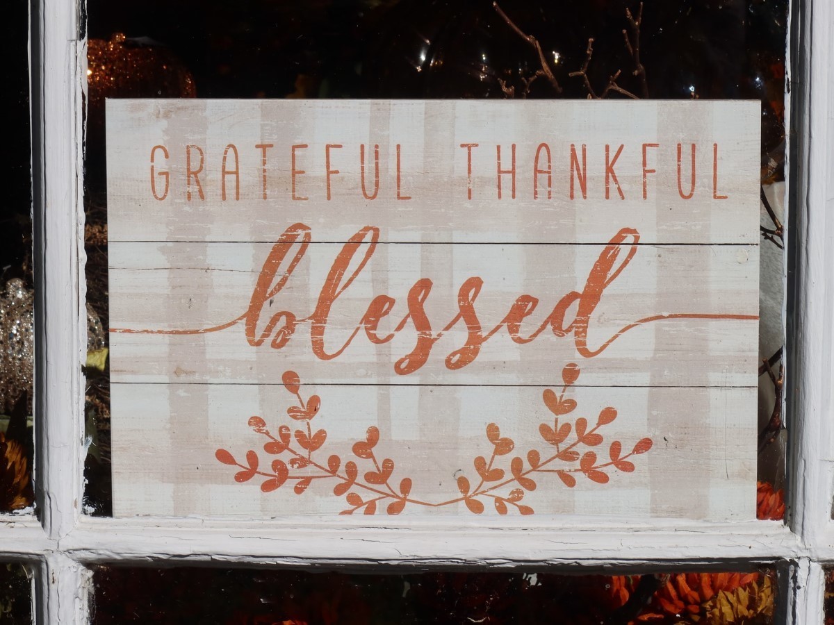 3 reminders for cultivating gratitude - Vimarsana News