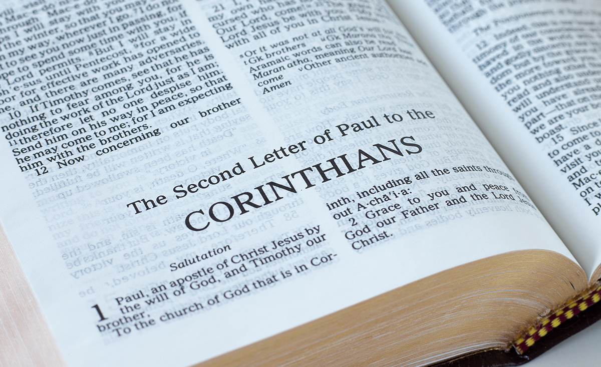 2024లో బైబిల్ అమ్మకాలు పెరిగాయి కానీ అది వేడుకలకు కారణమా?