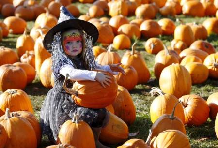 Dressed as a witch, Maisy Thompson plays with pumpkins in the pumpkin patch ahead of Halloween at Crockford Bridge Farm at Addlestone near Woking, southern Britain October 26, 2015.