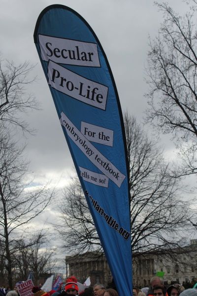 A flag belonging to the organization Secular Pro-Life stands tall at the March for Life in Washington, D.C. on Jan. 27, 2017.