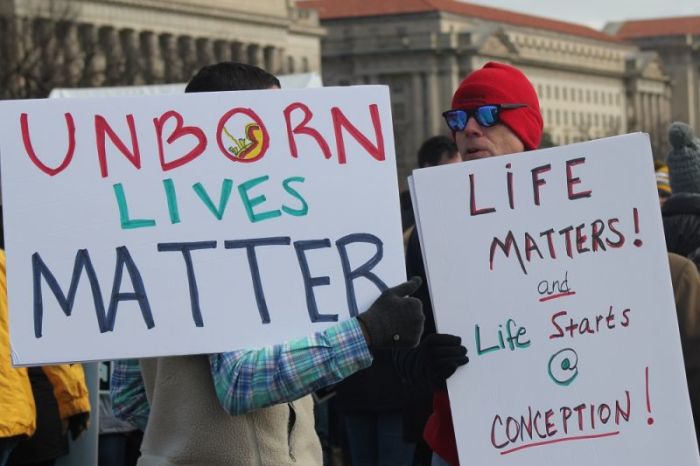 Participants in the 2017 March for Life hold up their pro-life signs in Washington, D.C. on January 27, 2017.