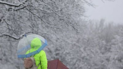 A woman stands with umbrellas beneath snow covered trees at the Queens Botanical Garden in the borough of Queens in New York, U.S., March 10, 2017.