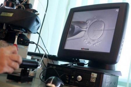 A doctor injects sperm directly into an egg during an in-vitro fertilization procedure at a clinic in Warsaw.