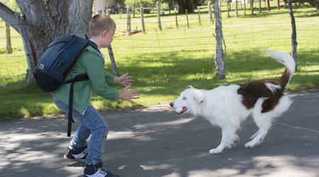 Christian Davis, as played by Connor Corum (Heaven Is for Real), and Pluto in the 2017 film 'The Stray.'