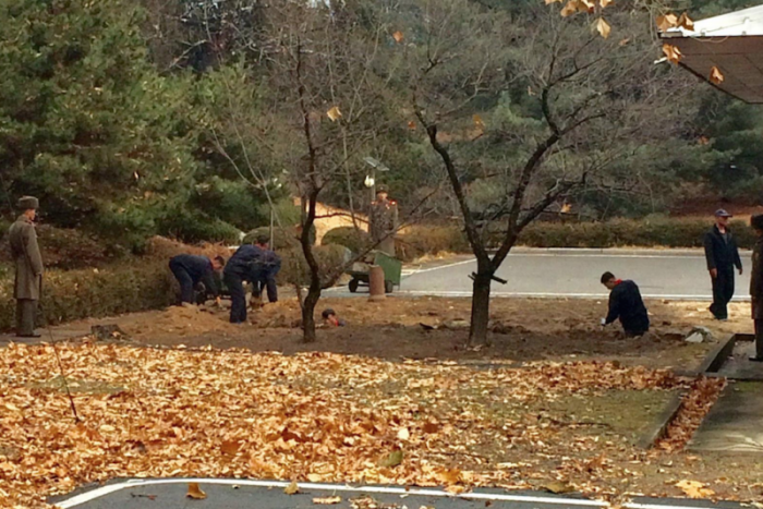 North Korean soldiers dig a trench and plant trees in the area where, on November 13, a defector ran across the border at the Demilitarized Zone (DMZ) dividing North Korea and South Korea November 22, 2017.