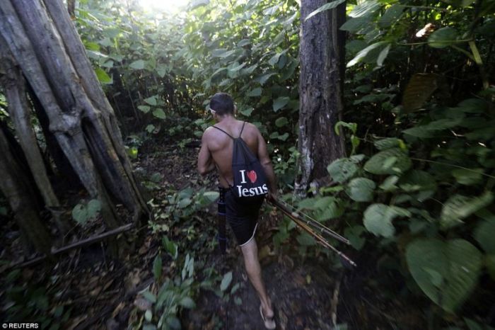 Amazon forest.