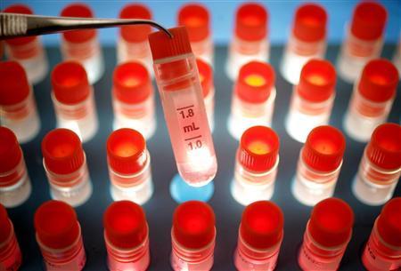 Ampoules containing a medium for stem cell storage in a file photo.