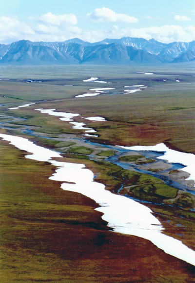 Arctic National Wildlife Refuge