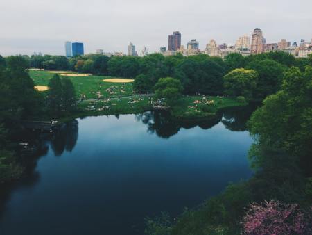 Living near a park has been found to be beneficial to a person's mental health