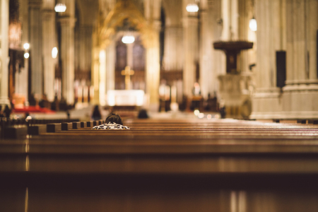 Photo: Getty Images/Cristian Bortes/EyeEm