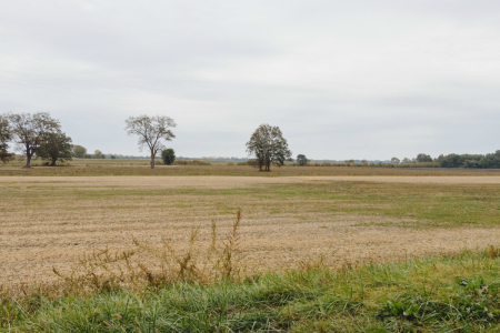 The vast farmland on the edge of Ste. Genevieve has been farmed since the French, who called it the big field. 