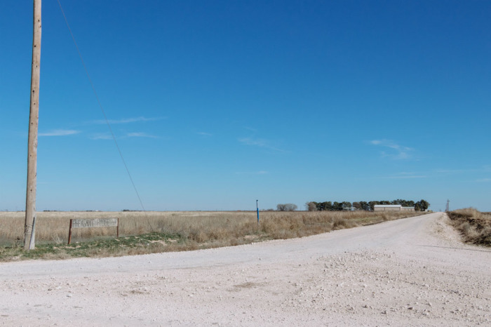 Lubbock, Texas, is surrounded by High Plains wine-growing region. 