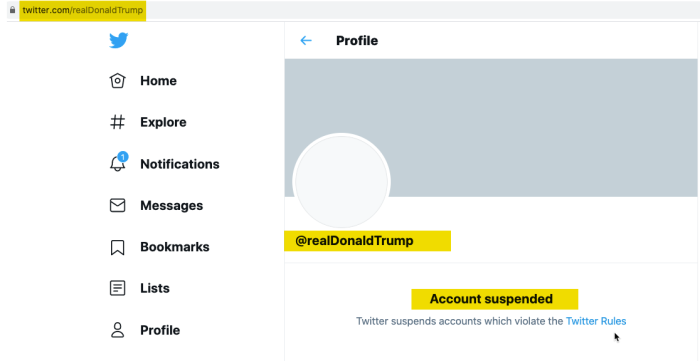 Screenshot of twitter.com/realDonaldTrump, Jan. 11, 2021