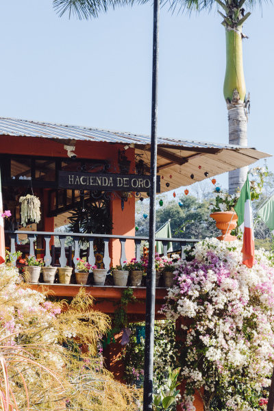 The Vallarta Botanical Gardens is located about an hour by car from Puerto Vallarta. 