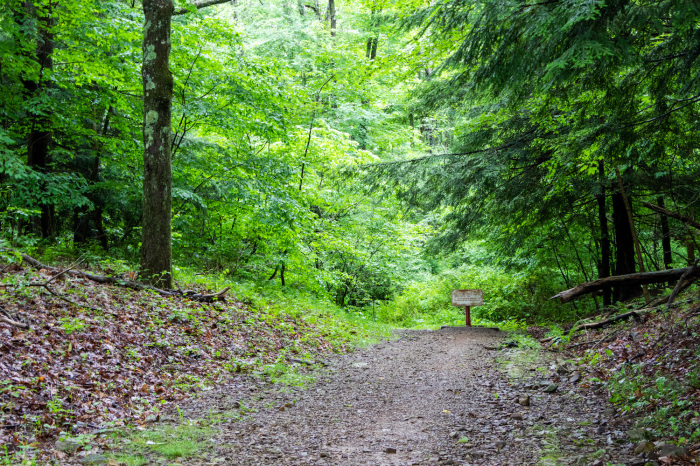 Maj. Gen. Edward Braddock was buried here under the road his soldiers blazed through forests and over mountains.