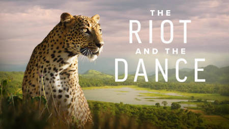 'The Riot and the Dance' movie poster