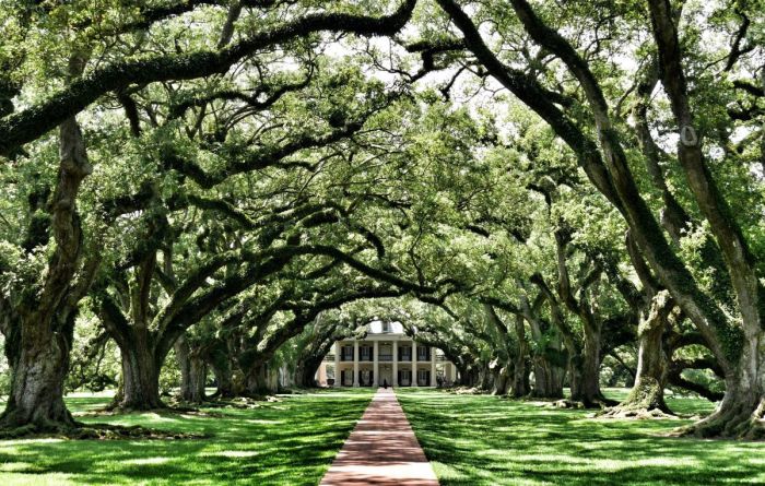 “Oak Alley” Plantation in Vacherie, Louisiana. 