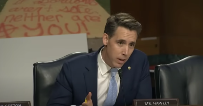 Sen. Josh Hawley, R-Mo., participates in a U.S. Senate Judiciary Committee hearing, July 12, 2022.