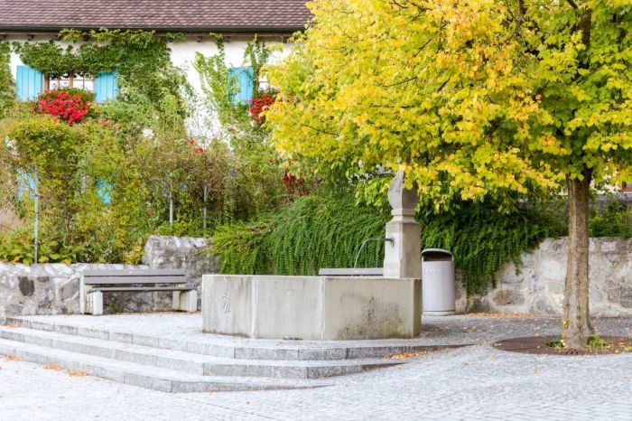 The streets of Vaduz, the capital of the Principality of Liechtenstein. 