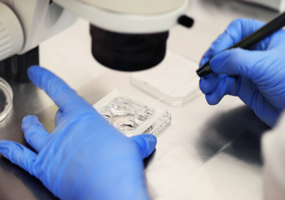 A process of artificial insemination of an egg in an IVF clinic stock photo. 