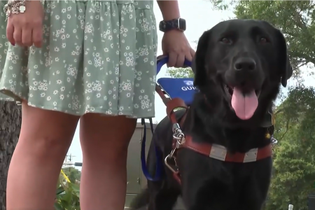 Betty is the guide dog for blind Texas resident, Mari Ramos.