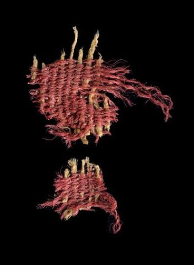 A fragment of the rare 3,800-year-old textile, dyed with the Kermes vermilio.