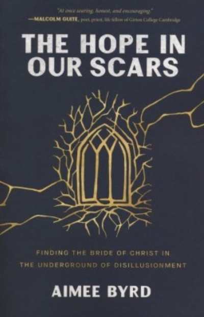 The Hope In Our Scars by Aimee Byrd