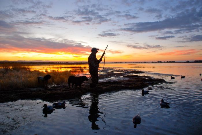 Waterfowl hunter at sunset