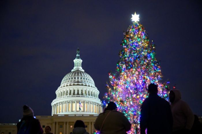 The Capitol Christmas tree is seen on the West Front of the U.S. Capitol in Washington, D.C., on Dec. 21, 2023. The tree is a 63-foot Norway spruce from West Virginia's Monongahela National Forest. 