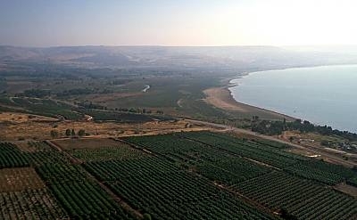 The northeastern shore of the Sea of Galilee is a fertile plain where the feeding of the 5,000 likely took place.