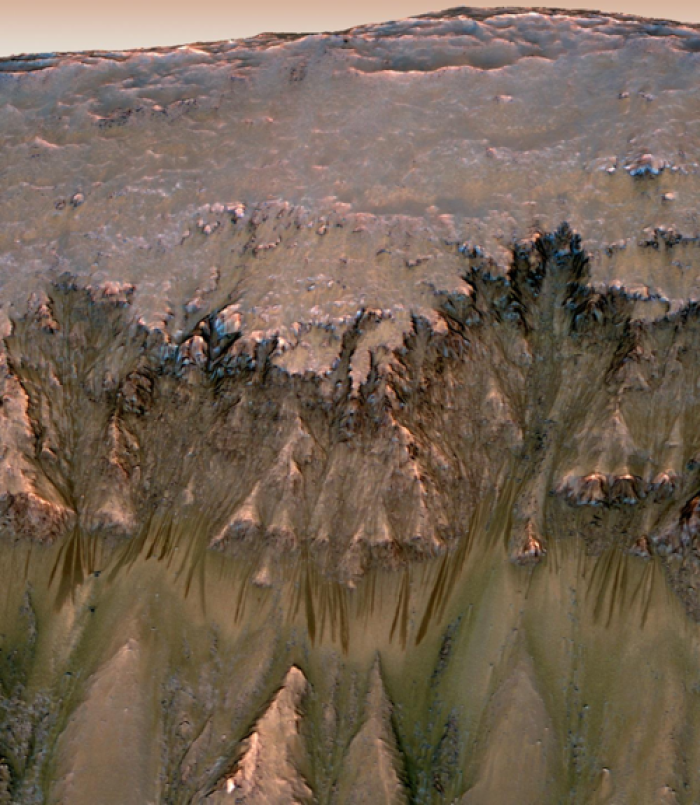 Oblique View of Warm Season Flows in Newton Crater