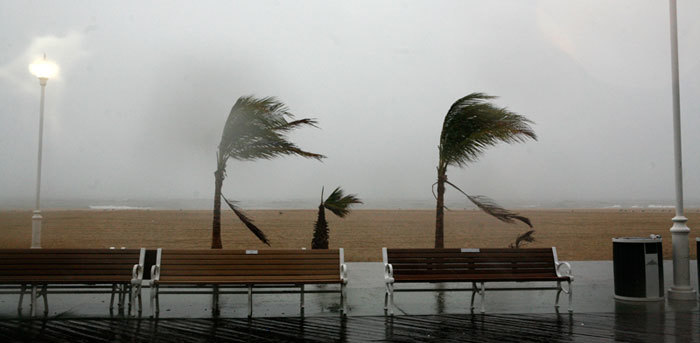 Trees are affected by the early effects of Hurricane Irene on the empty board walk in Ocean City, Maryland, August 27, 2011. National Hurricane Center Director Bill Read said Irene, which will be the first significant hurricane to affect the populous Northeast in decades, would lash the Atlantic seaboard with tropical storm-force winds and a 'huge swath of rain' from the Carolinas to New England.