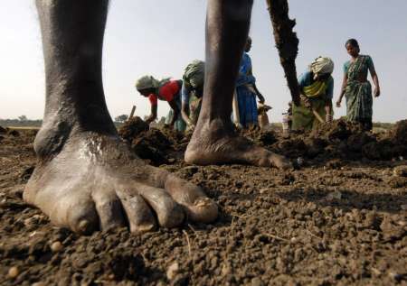 Laborers work on a dried lake to try and revive it under the National Rural Employment Guarantee Act (NREGA) at Ibrahimpatnam, on the outskirts of Hyderabad, in this June 17, 2009 file photo. The initiative aims to help India's poor.