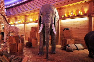 Elephant inside The Ark at Cornerstone Church in San Antonio, Texas, on March 16, 2013.