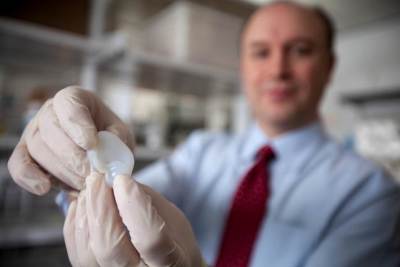 A new fabricated ear created in the Cornell laboratory.