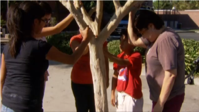 Catholics worship under the 'miraculous' Crape Myrtle tree outside St. John's Cathedral in Fresno, Calif.