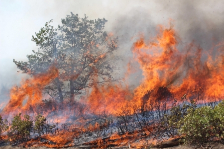 Yosemite's Rim Fire is now 80% contained.