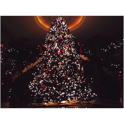 Kardashian-Jenner family's giant tree