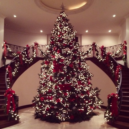 Kardashian-Jenner family's giant tree