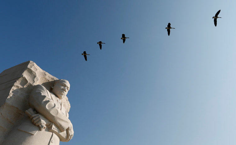 Geese fly over the the Martin Luther King Jr. Memorial in Washington August 20, 2013. The Rev. Dr. Martin Luther King, Jr., delivered his 'I have a Dream' speech on August 28, 1963, on the steps of the Lincoln Memorial during the march on Washington for Jobs and Freedom.