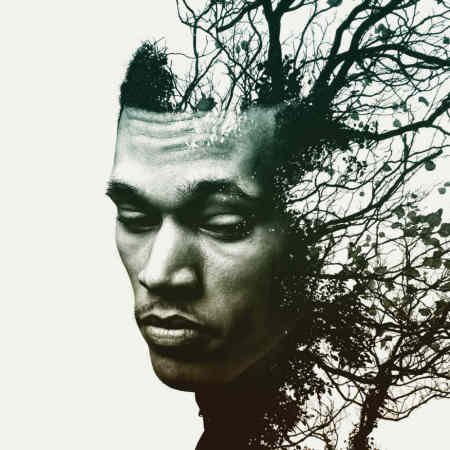 Cover art for Trip Lee's 'Rise' album.