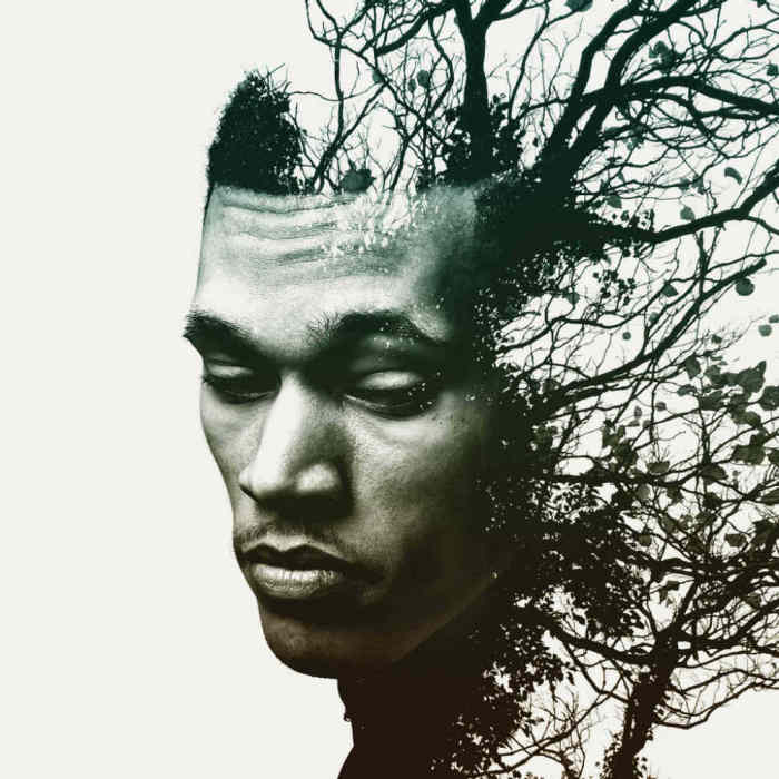 Cover art for Trip Lee's 'Rise' album.