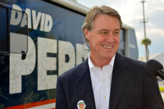 Republican U.S. Senate candidate from Georgia, David Perdue.