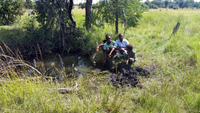 School girls in Bulanda village explain how they used to draw water from this pond, where they once found a dead dog. This photo was taken on March 24, 2015, in Zambia.