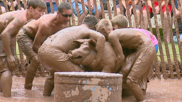 An image showing the 2014 Original Pig Rassle pig wrestling event at Wisconsin's St. Patrick Catholic Parish.