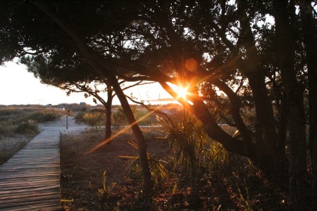 St. Christopher Camp and Conference Center, located in Johns Island, South Carolina.