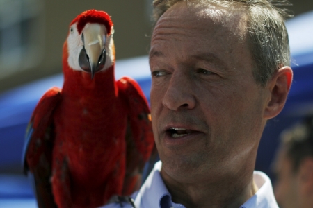 An unidentified man poses for a photograph with 'Rainbow the Macaw' during Market Square Day in Portsmouth, New Hampshire, June 13, 2015.