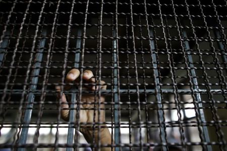 A Rohingya Muslim illegal immigrant puts his hand on the railing inside the Immigration Detention Center in Kanchanaburi province July 10, 2013.