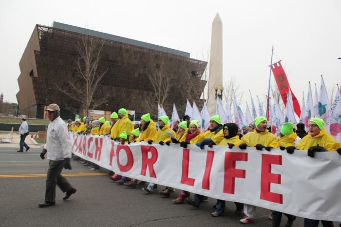 Thousands of pro-lifers participate in the 2016 March for Life in Washington, D.C. on Jan. 22, 2016