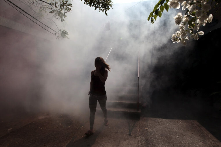 A woman walks away from her apartment as health workers fumigates the Altos del Cerro neighbourhood as part of preventive measures against the Zika virus and other mosquito-borne diseases in Soyapango, El Salvador, January 21, 2016.